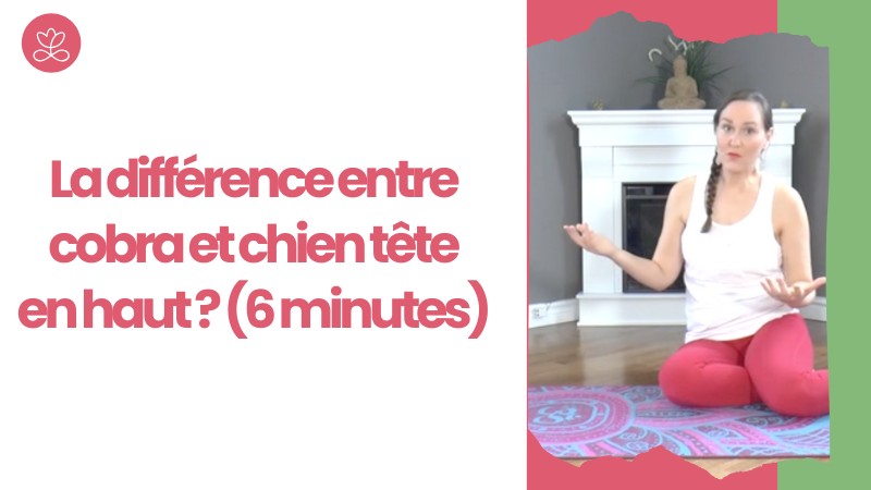 La différence entre cobra et chien tête en haut ? (6 minutes)